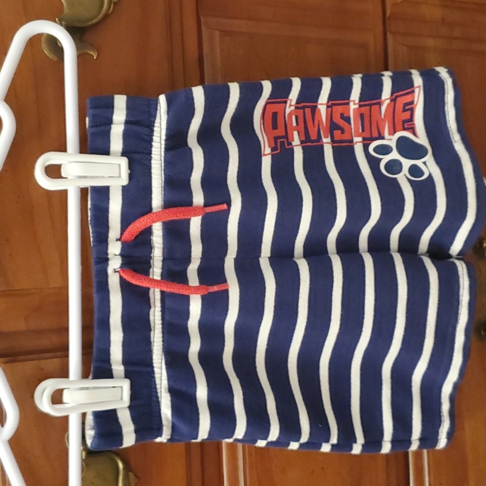 Paw Patrol Blue Striped Shorts